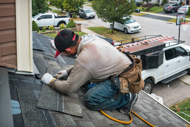 Professional Gutter Repair And Installation technician working in Capac, MI